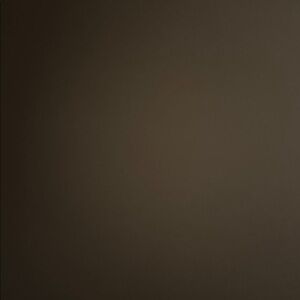 Betsey Johnson Brown Large Tote Skull Embossed with Gold with skull heads